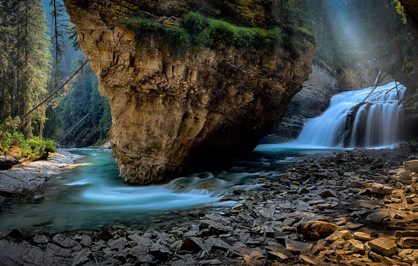 Фото обои лес, ветки, туман, камни, скалы, берег, вид, водопад