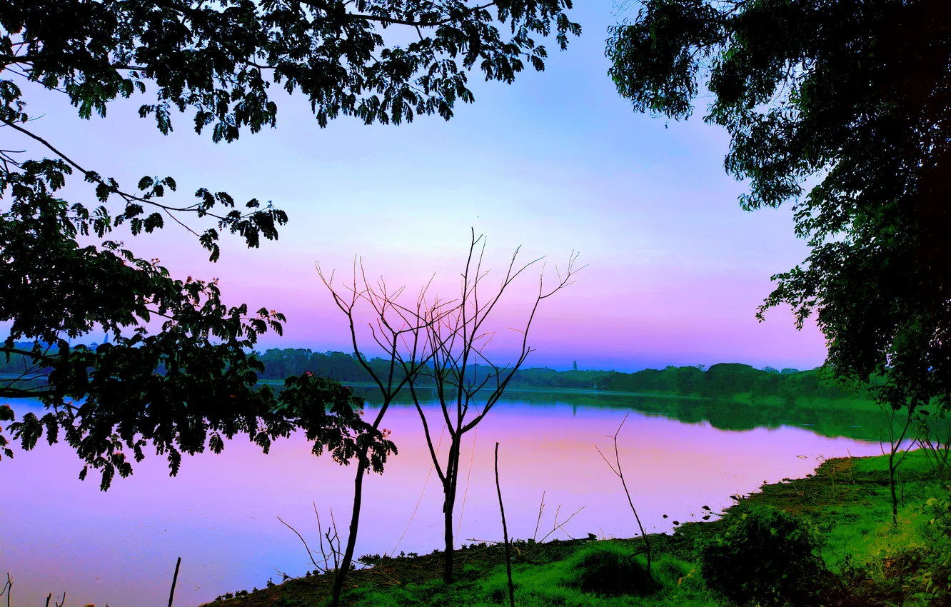 Фото обои Water, Sunrise, Dawn, Morning, Lake, Trees, Reflection, First Light