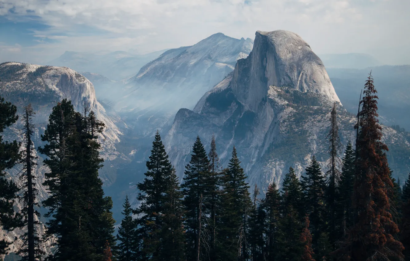 Фото обои USA, forest, trees, landscape, nature, Yosemite Valley, mountains, rocks