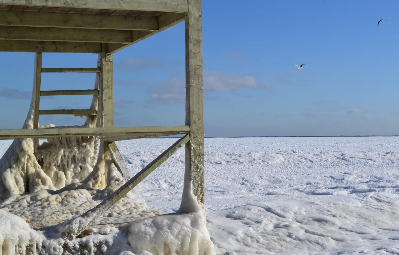 Фото обои зима, море, лёд