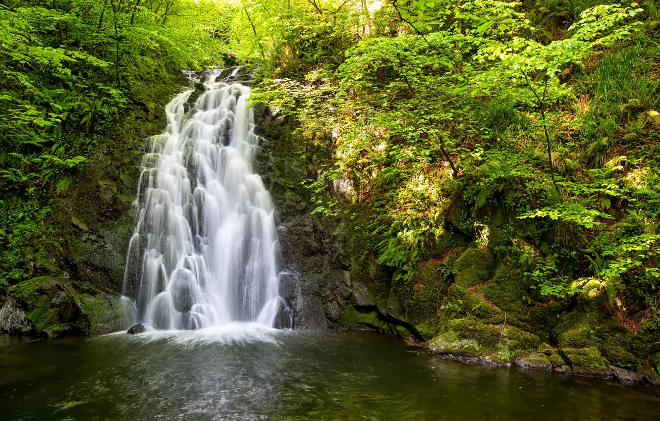 Фото обои вода, деревья, природа, камни, водопад
