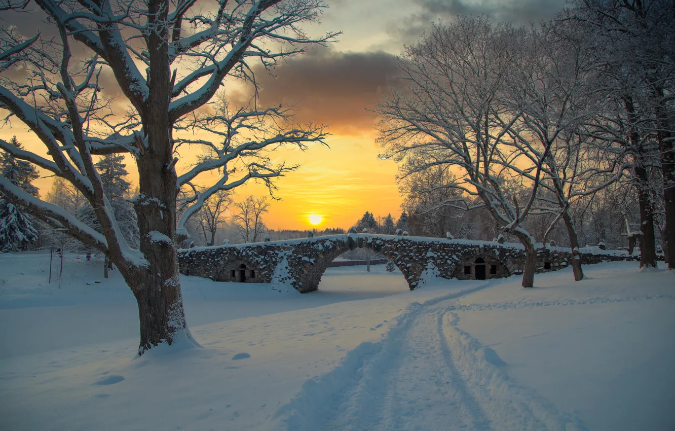 Фото обои зима, снег, пейзаж, закат, мост, природа, дорожка, Тверская область