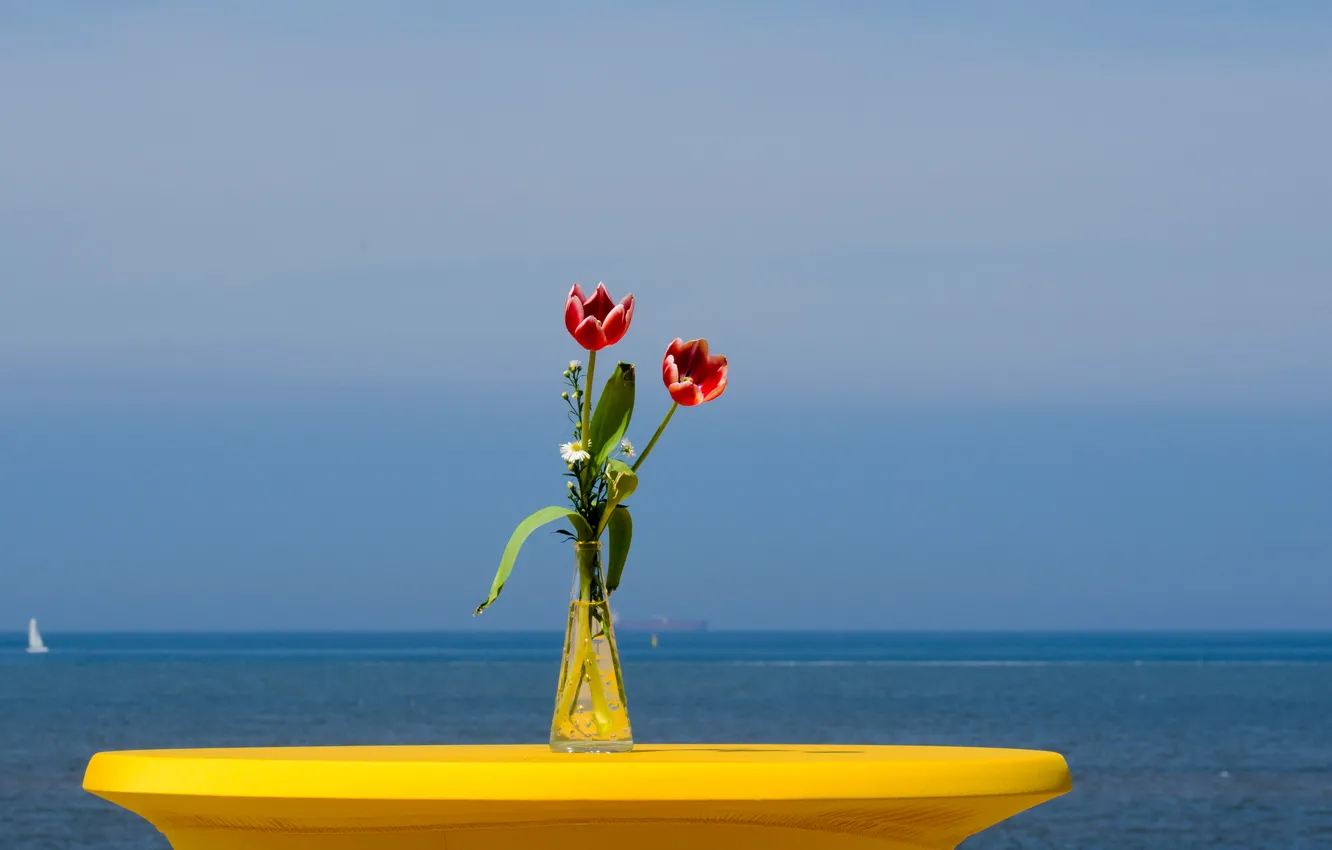 Фото обои море, небо, цветы, яхта, тюльпаны, парус, ваза