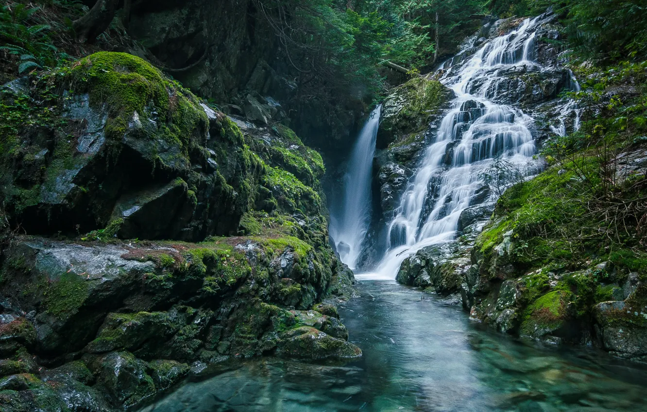 Фото обои вода, деревья, природа, скалы, водопад, мох, Канада, Canada