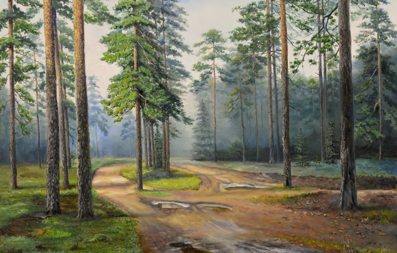 Фото обои дорога, лес, деревья, пейзаж, туман, картина, лужи, сосны