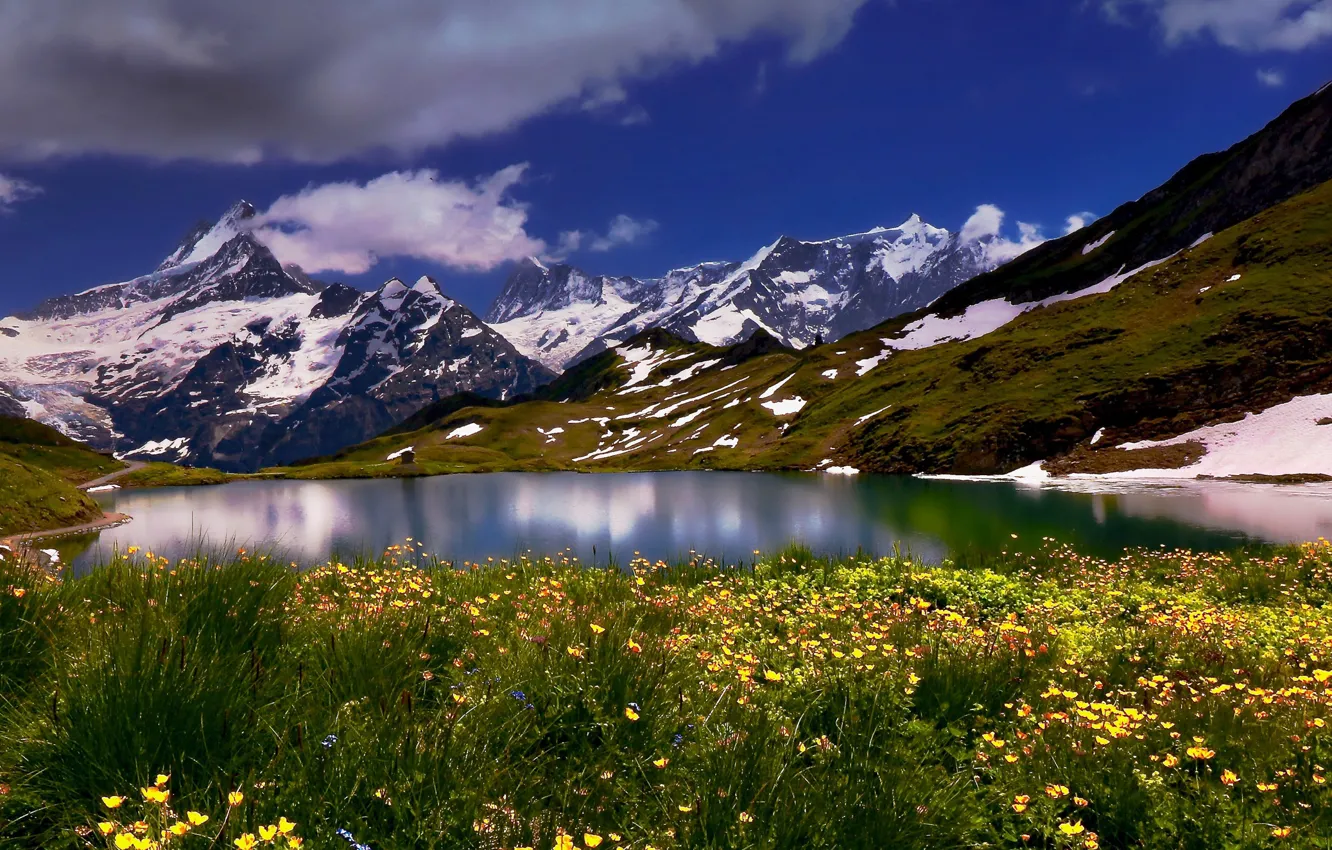 Фото обои цветы, горы, озеро, Швейцария, Switzerland, Bernese Alps, Бернские Альпы, Bernese Oberland