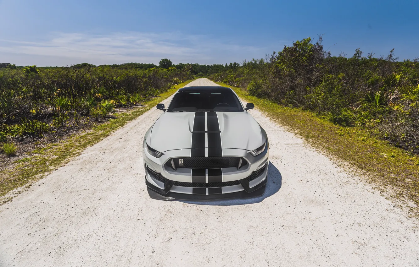 Фото обои Mustang, Ford, Front, Cobra, Face, Silver