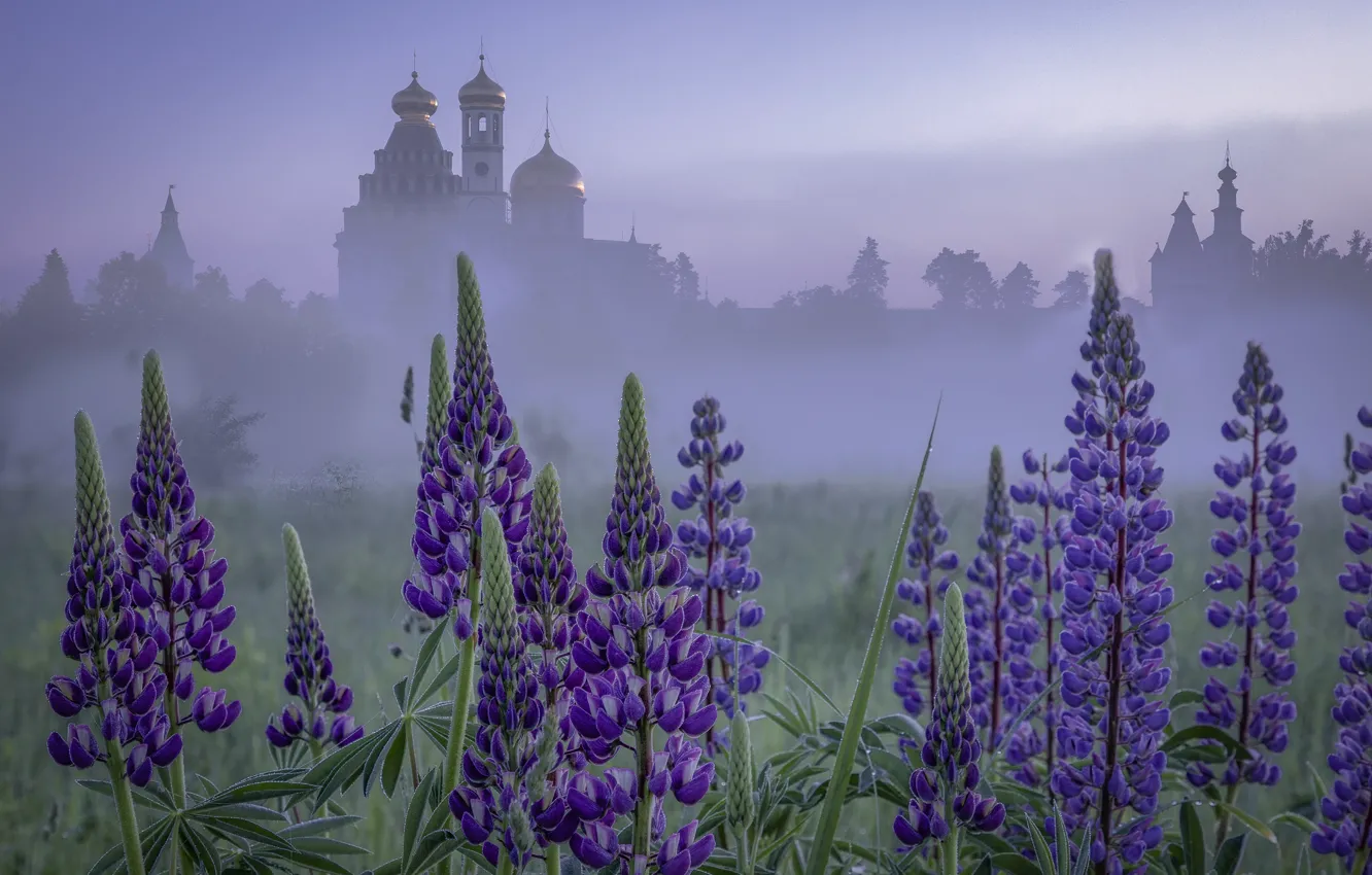 Фото обои церковь, храм, люпины