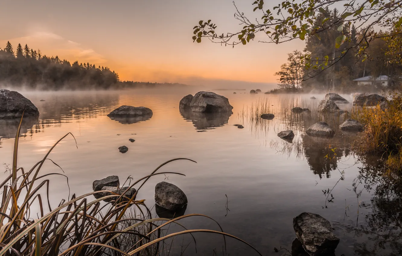 Фото обои небо, деревья, туман, озеро, камни, утро