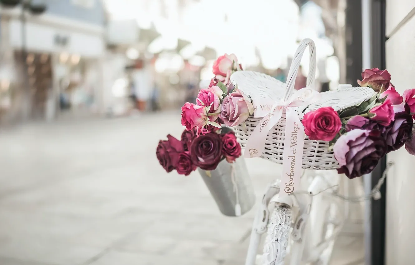 Фото обои цветы, велосипед, улица, корзина, романтика, розы