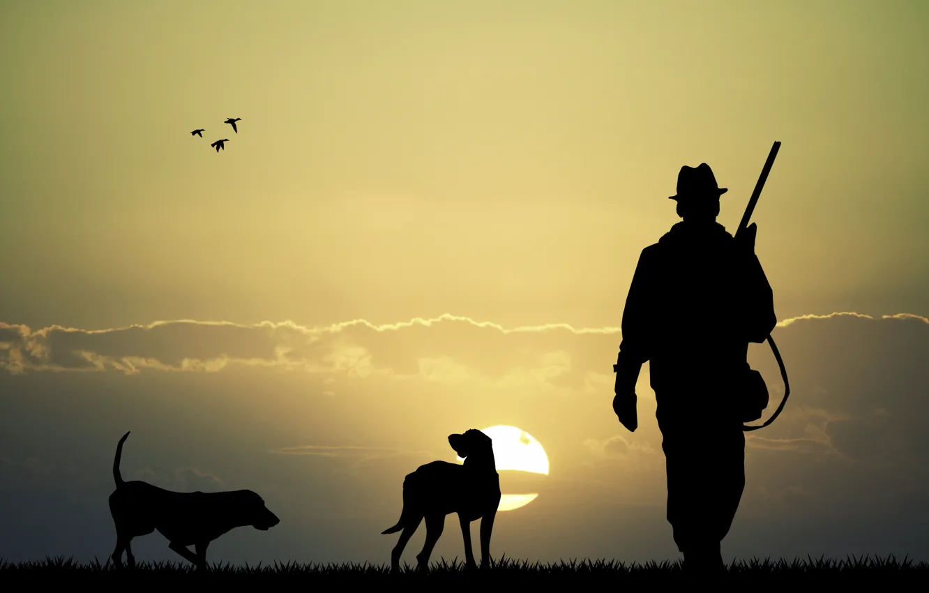 Фото обои собаки, небо, закат, природа, две, утки, равнина, силуэт
