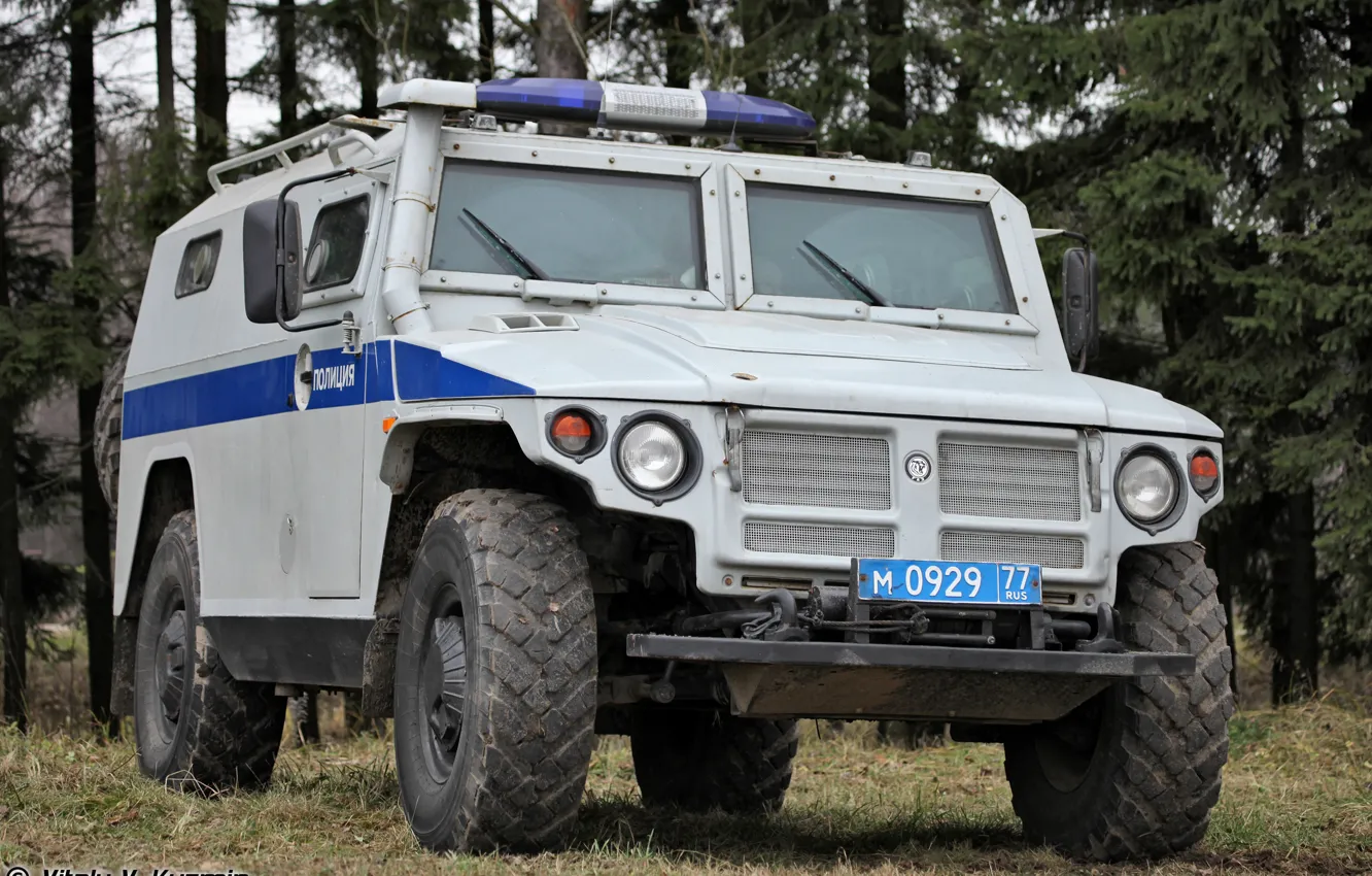 Фото обои Тигр, Полиция, бронеавтомобиль, СПМ-2, GAZ-233036