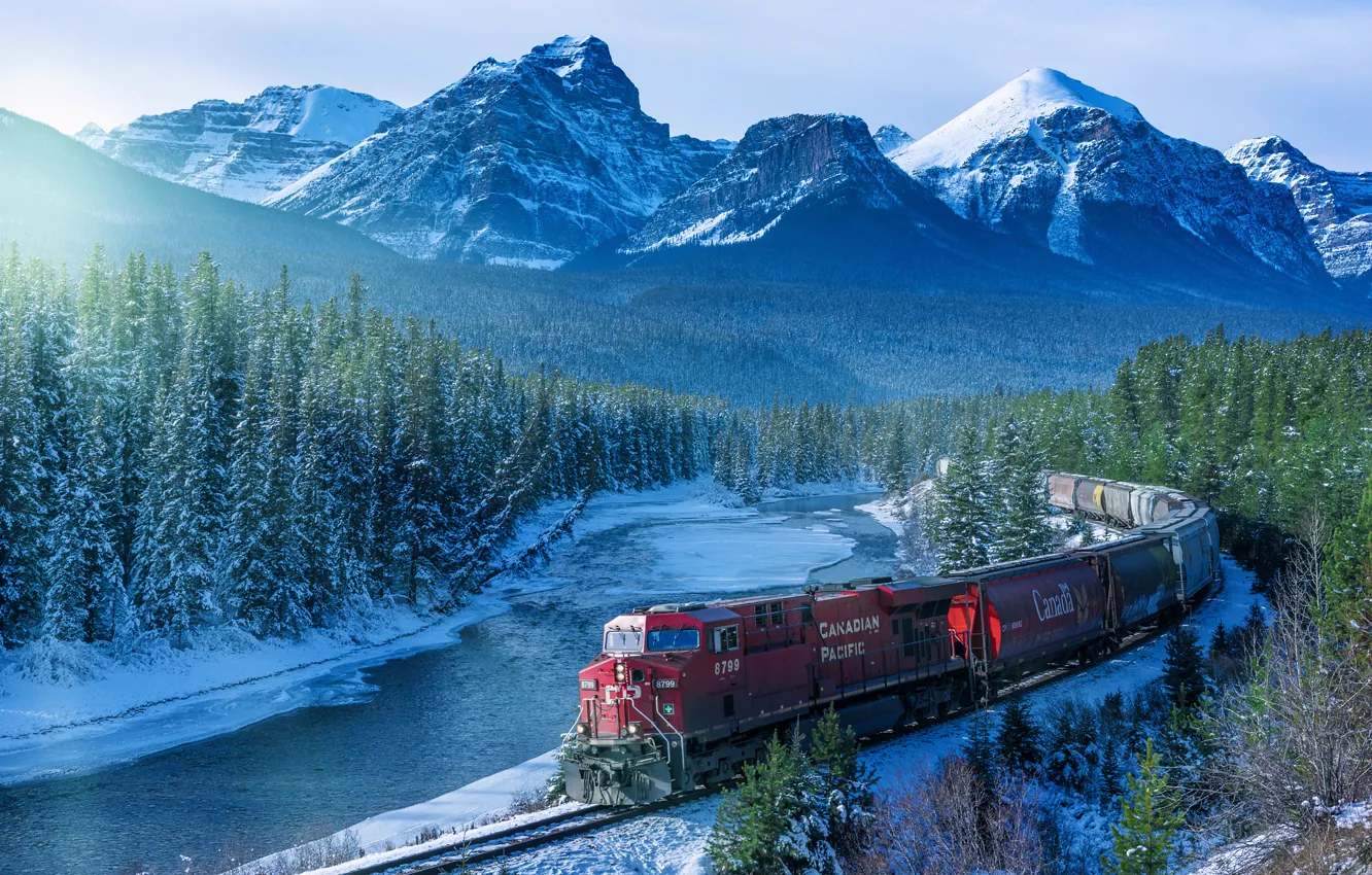 Фото обои лес, горы, поезд, утро, Канада, железная дорога, Альберта