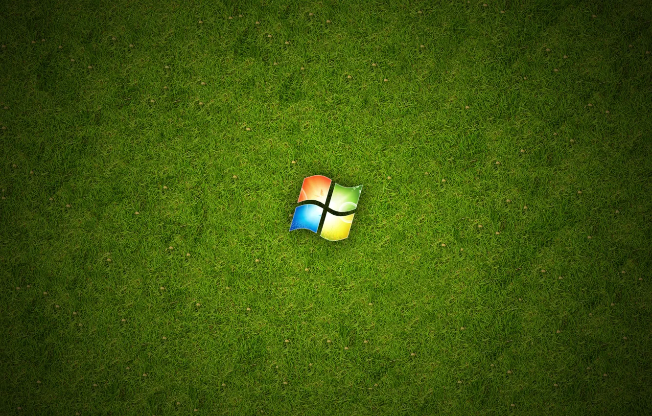Фото обои трава, зеленый, Windows