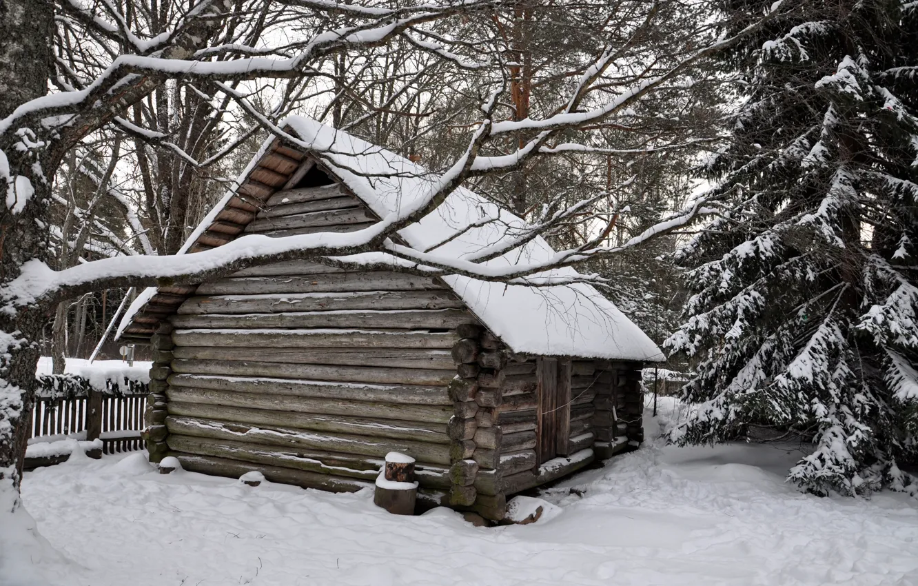 Фото обои зима, лес, снег, деревья, избушка, деревня, домик, house
