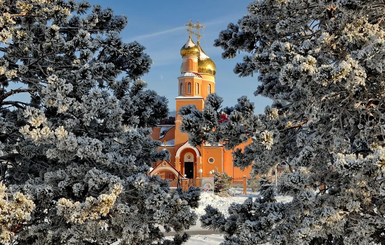 Фото обои зима, снег, деревья, ель, церковь, собор, купол, сосна