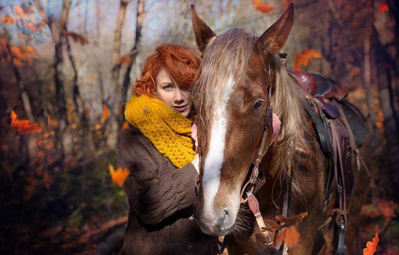 Фото обои осень, лес, взгляд, девушка, свет, деревья, парк, друг