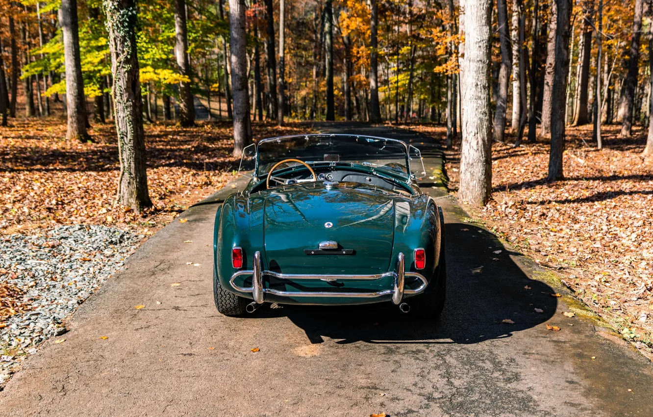 Фото обои Shelby, Cobra, rear view, Shelby Cobra 289