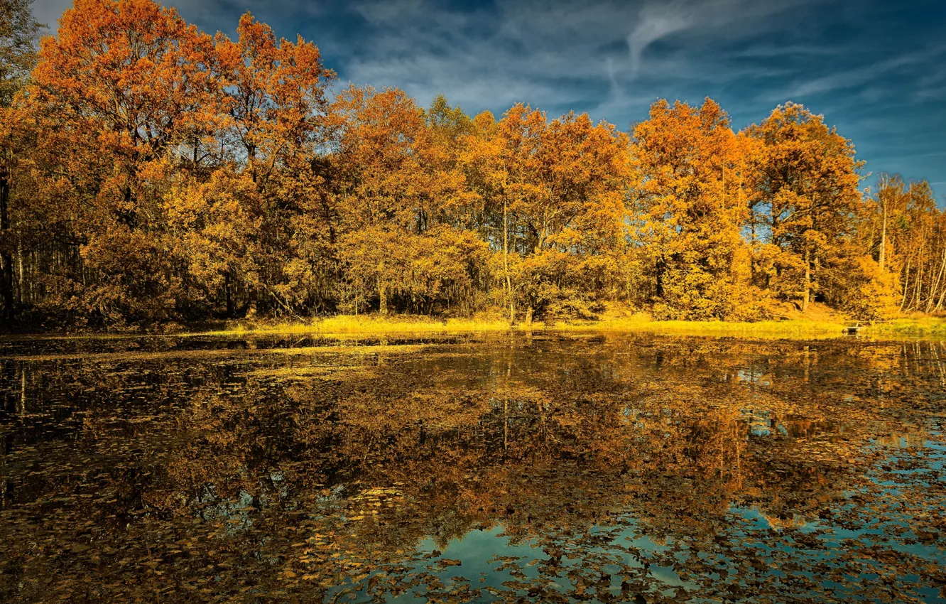 Фото обои осень, природа, озеро