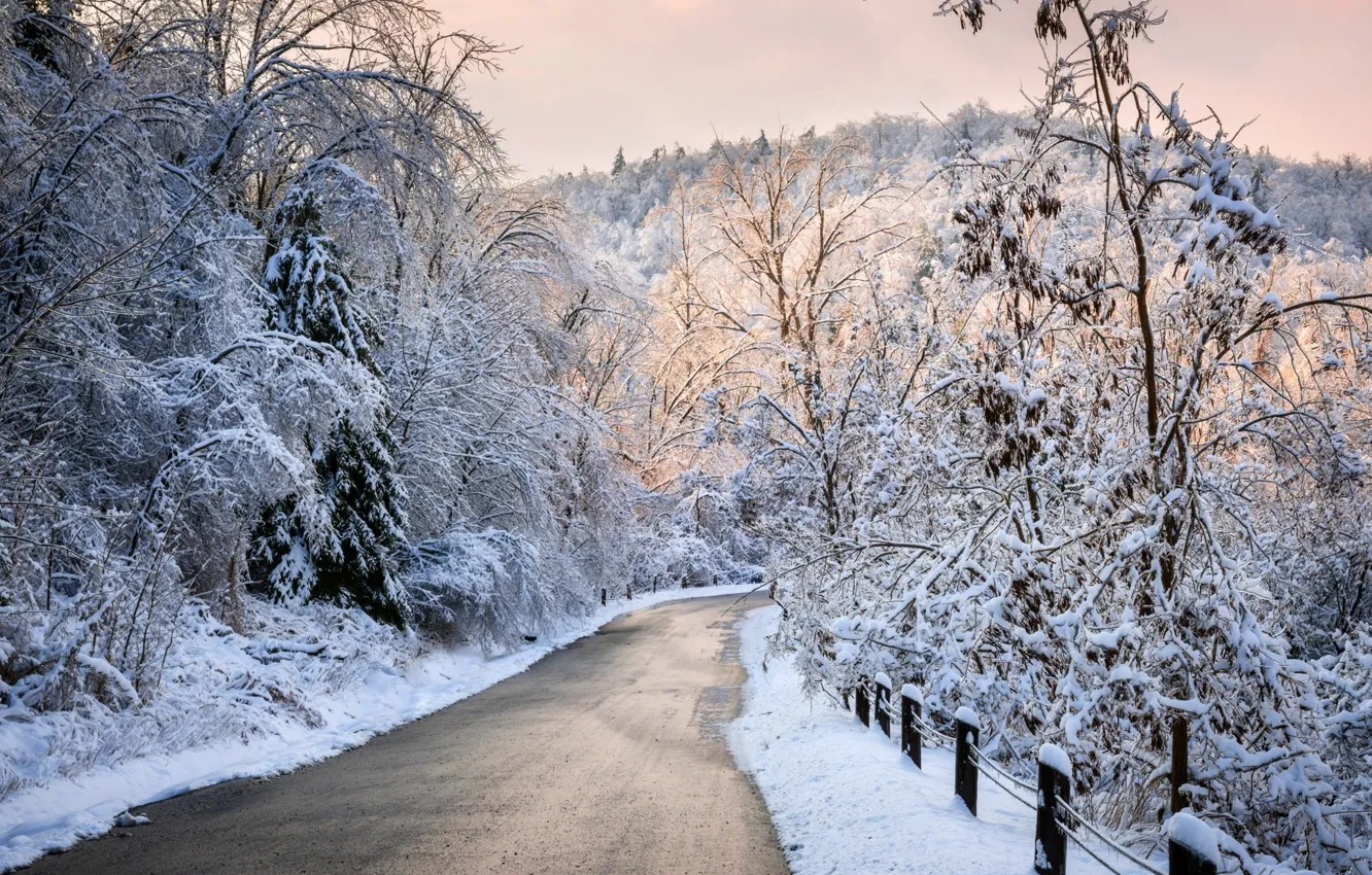 Фото обои зима, дорога, лес, небо, снег, деревья, пейзаж, природа