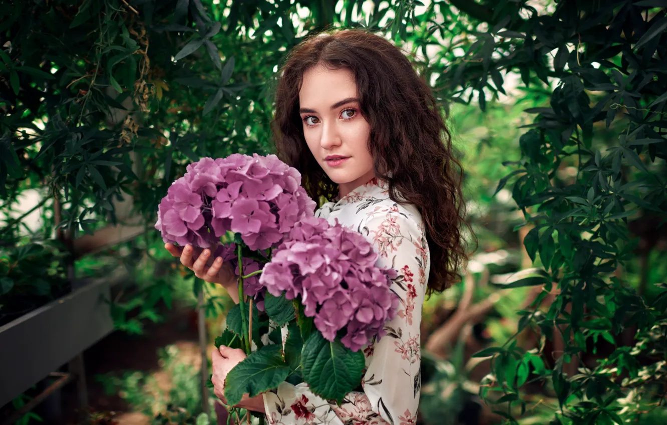 Фото обои взгляд, девушка, цветы, лицо, гортензия, Сергей Ольшевский, Алиса Мусина