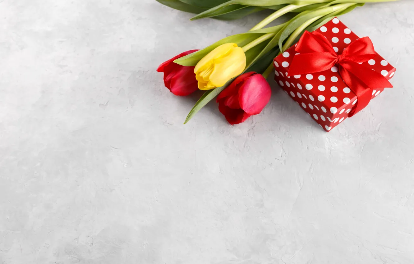 Фото обои цветы, подарок, букет, colorful, тюльпаны, flowers, tulips, holiday