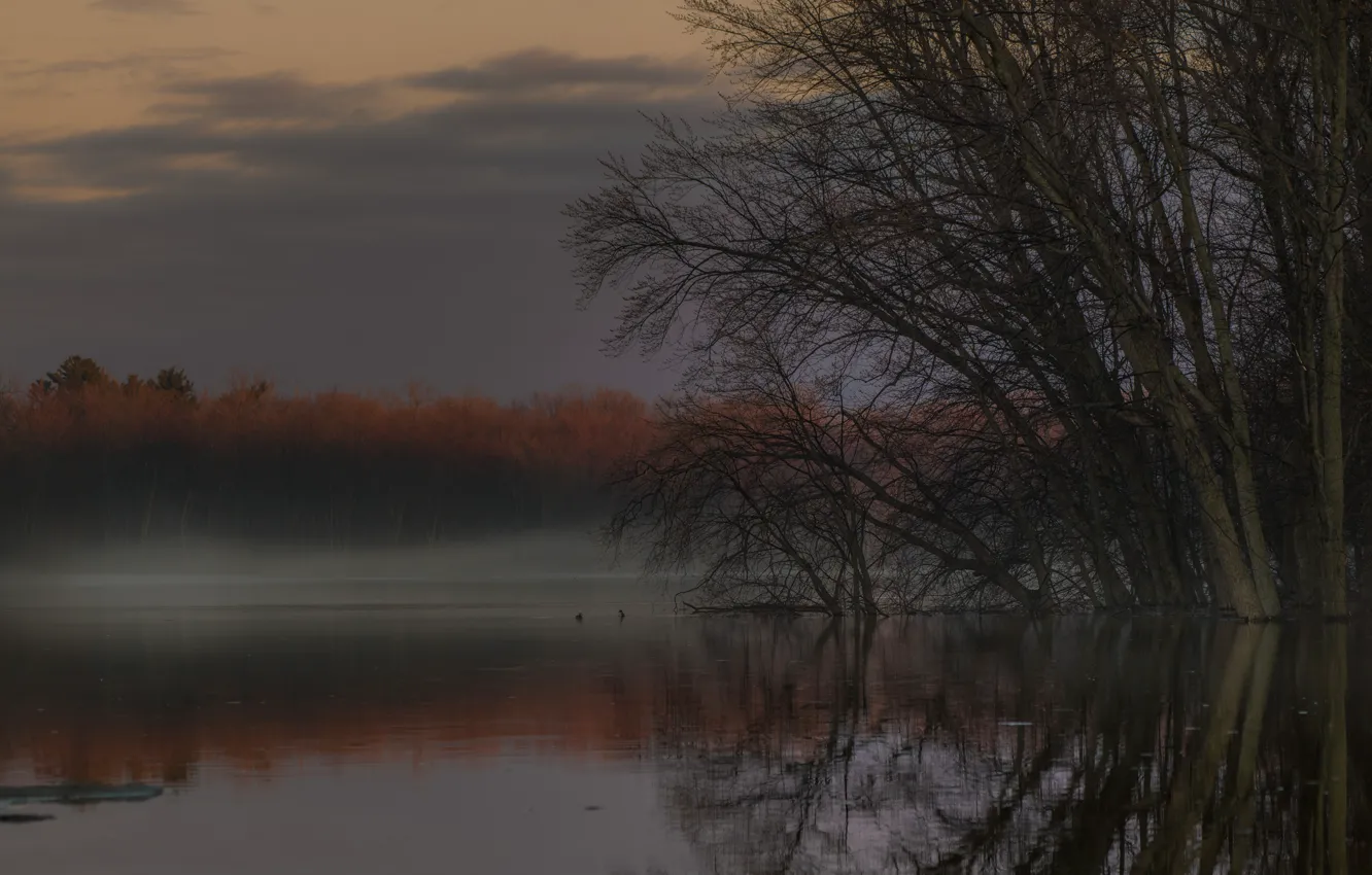 Что из неживой природы есть на картинке деревья утки дома водоем