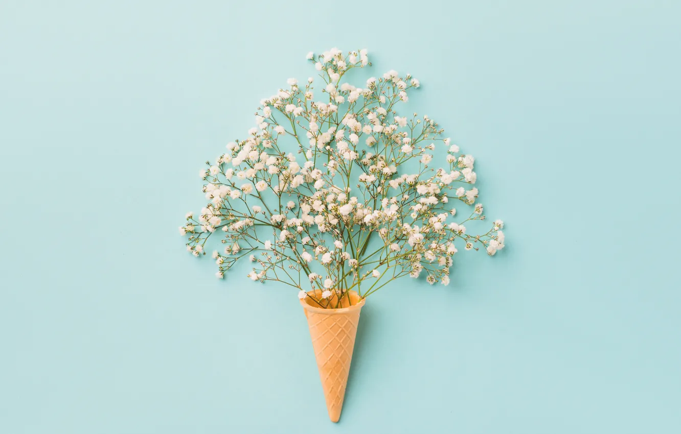 Фото обои цветы, фон, white, белые, рожок, flowers, вафля, spring