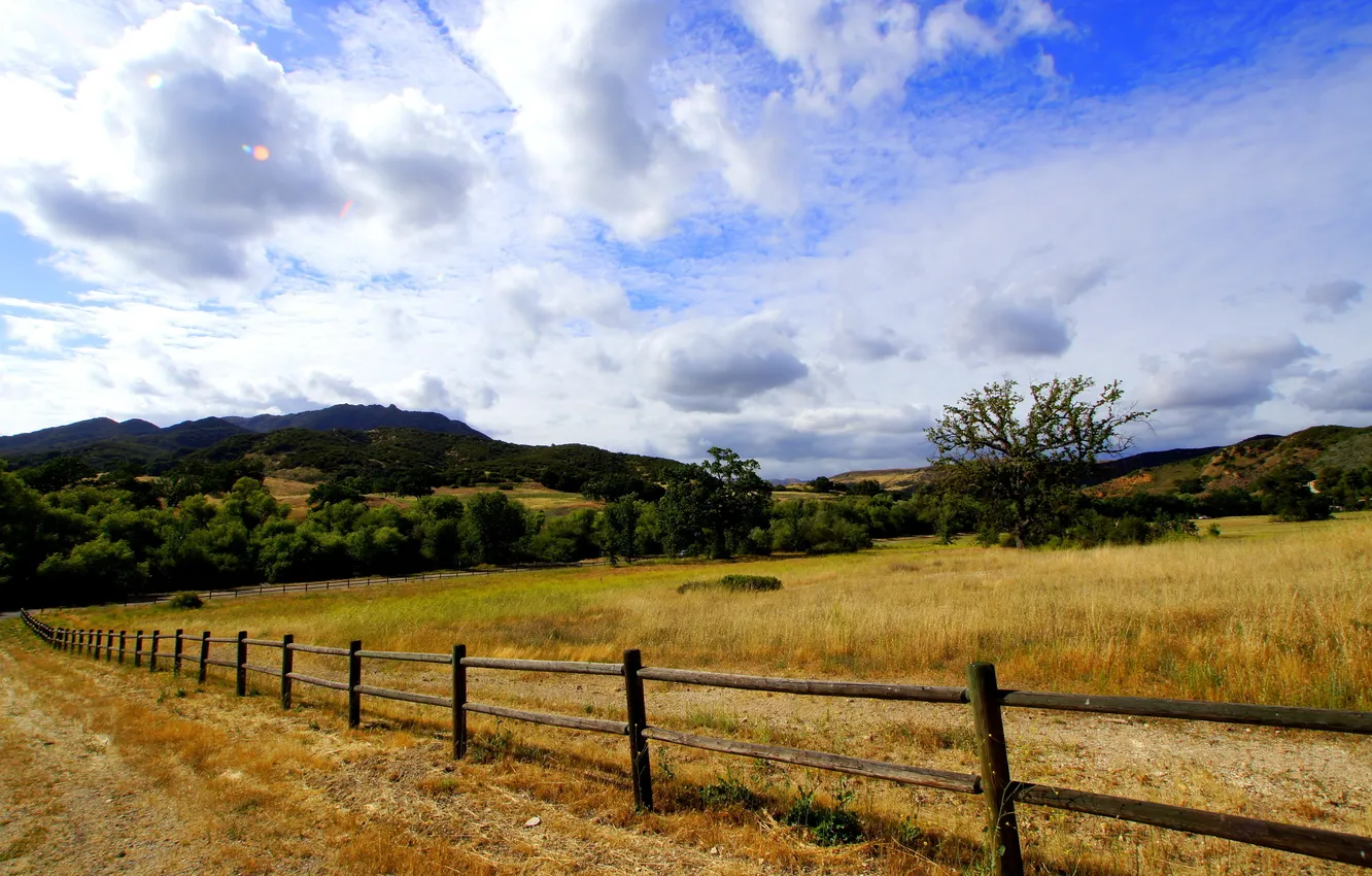 Фото обои поле, лето, пейзаж, забор