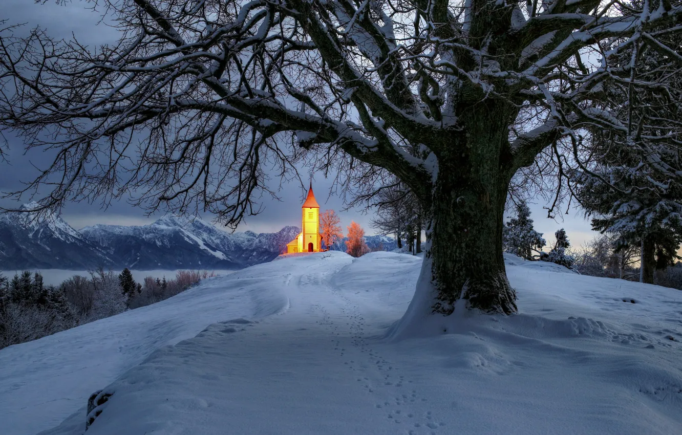 Фото обои зима, снег, пейзаж, горы, природа, дерево, подсветка, церковь