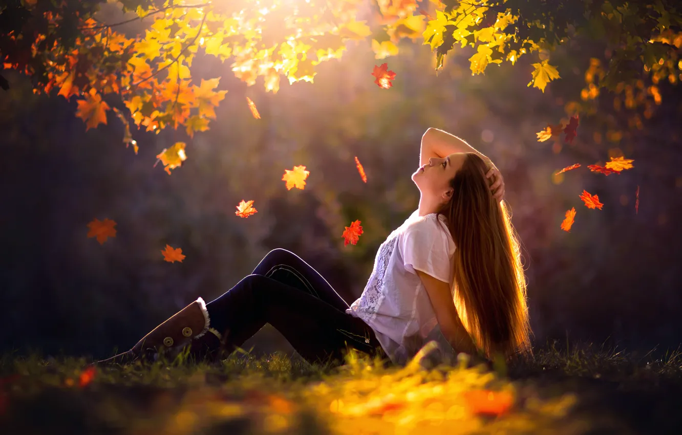 Фото обои осень, листья, девушка, листопад