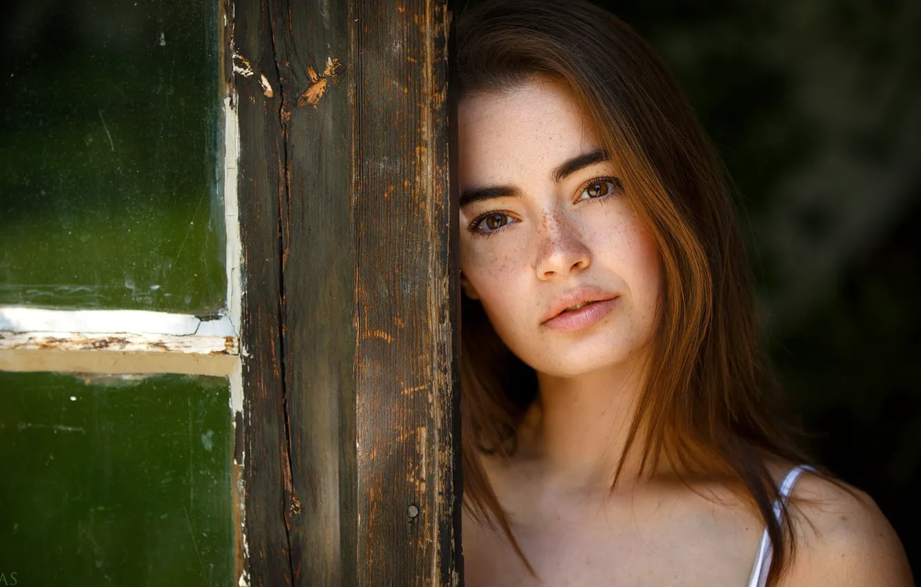 Фото обои girl, glass, brown hair, brown eyes, photo, wood, photographer, model