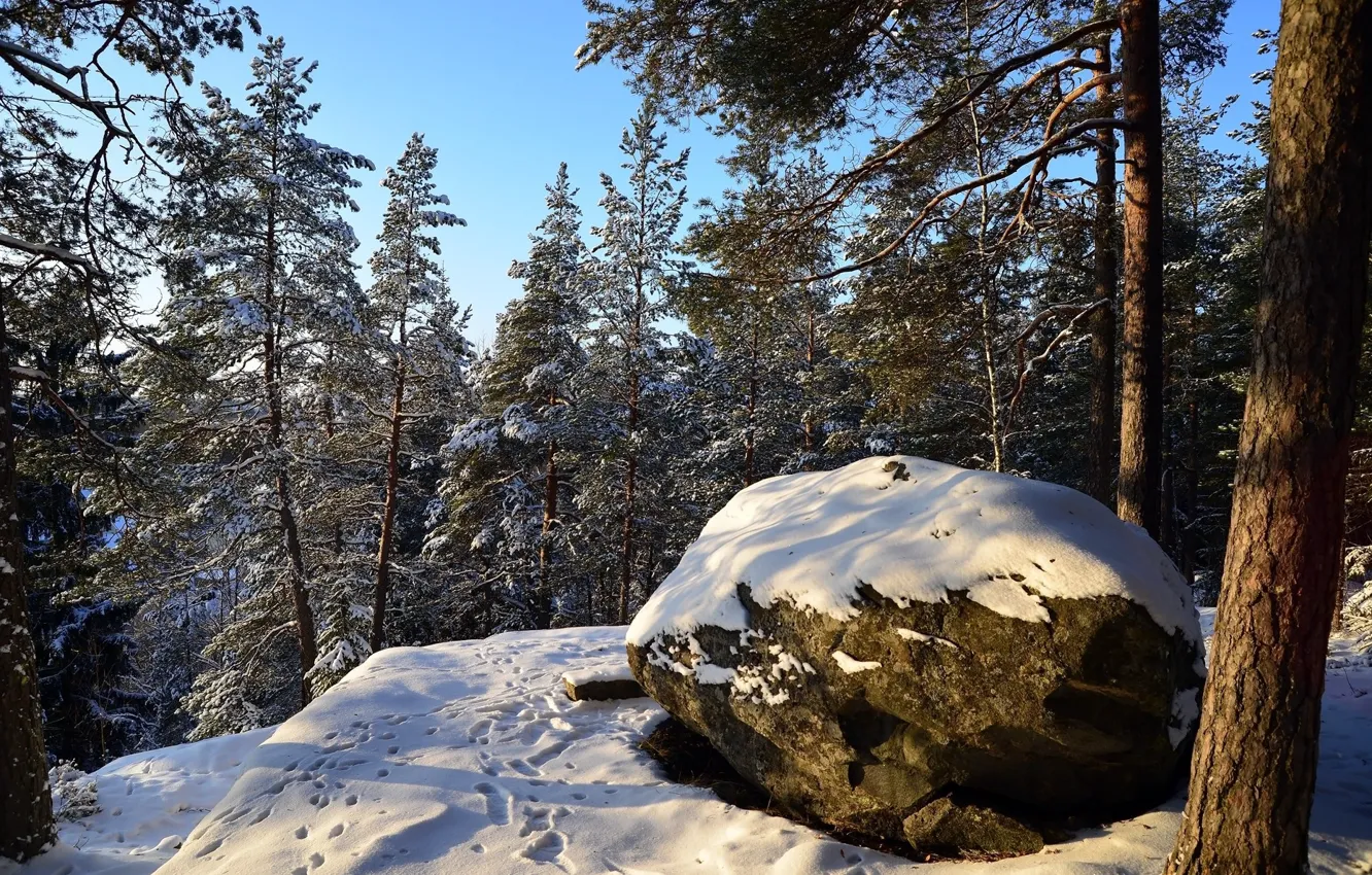 Фото обои Природа, Зима, Снег, Камень