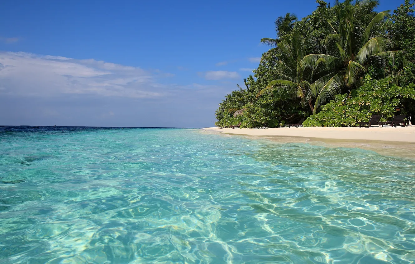 Фото обои песок, море, тропики, пальмы, берег, голубая водичка