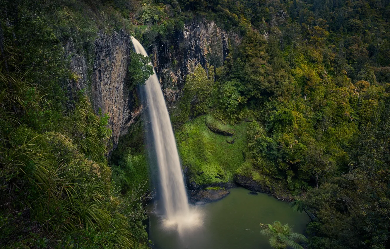 Фото обои лес, скала, река, водопад, поток, Новая Зеландия, New Zealand, Waikato