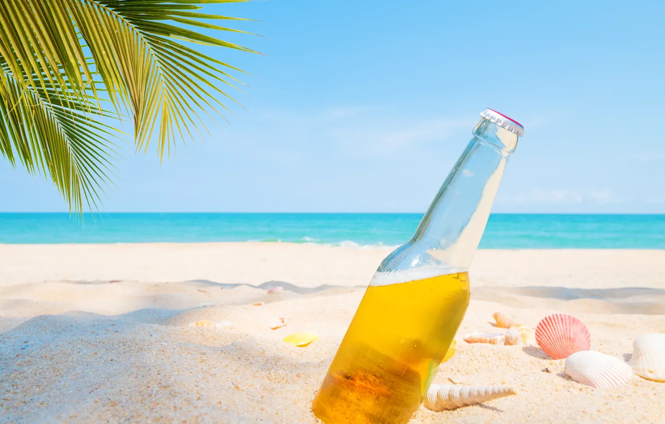 Фото обои песок, море, пляж, лето, пальмы, отдых, пиво, ракушки