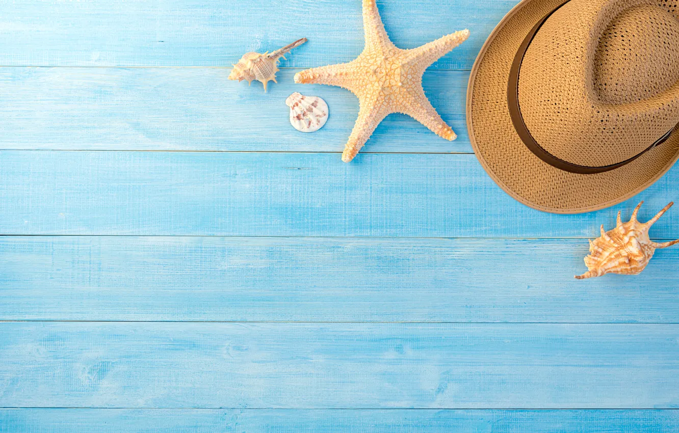 Фото обои лето, фон, звезда, шляпа, ракушки, summer, beach, wood