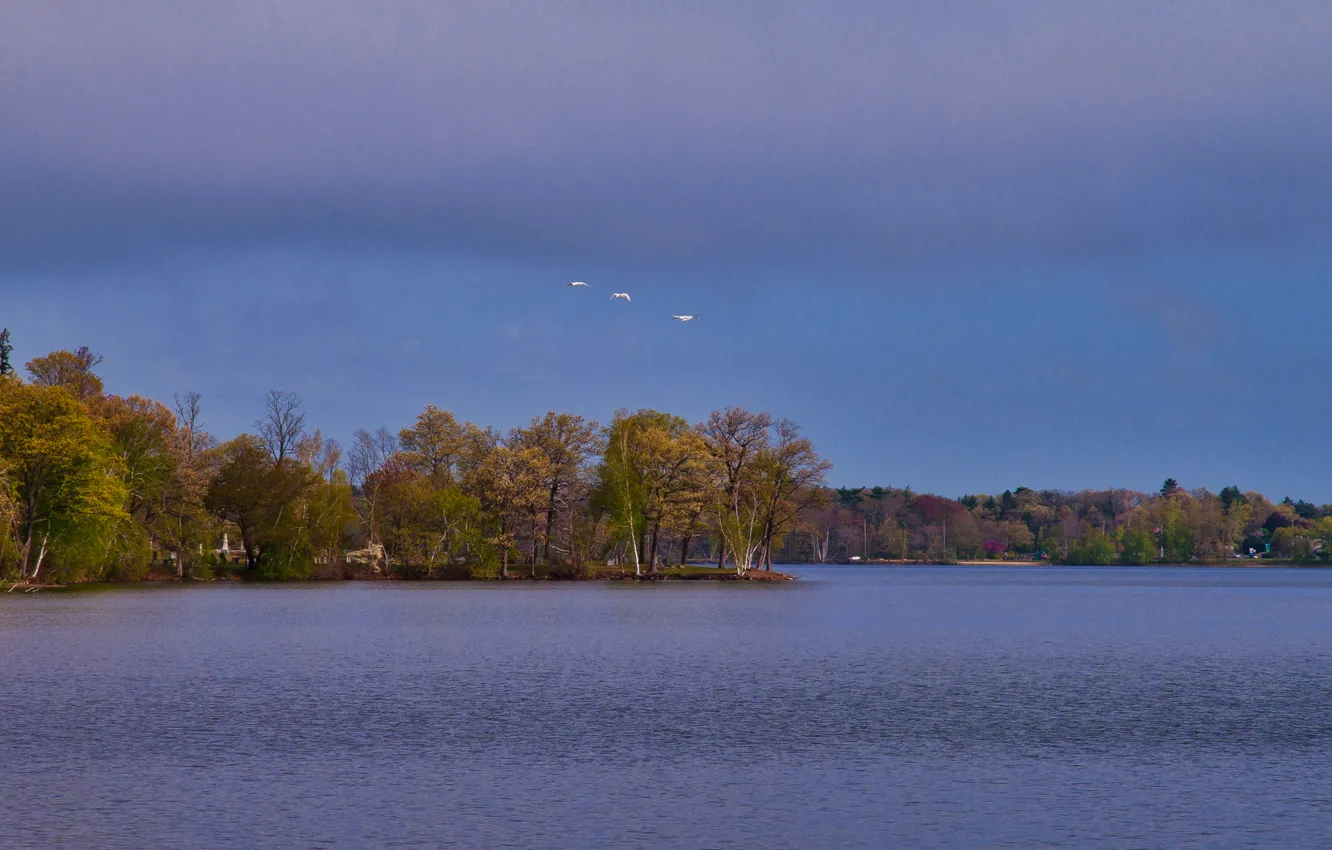 Фото обои осень, небо, облака, деревья, птицы, озеро