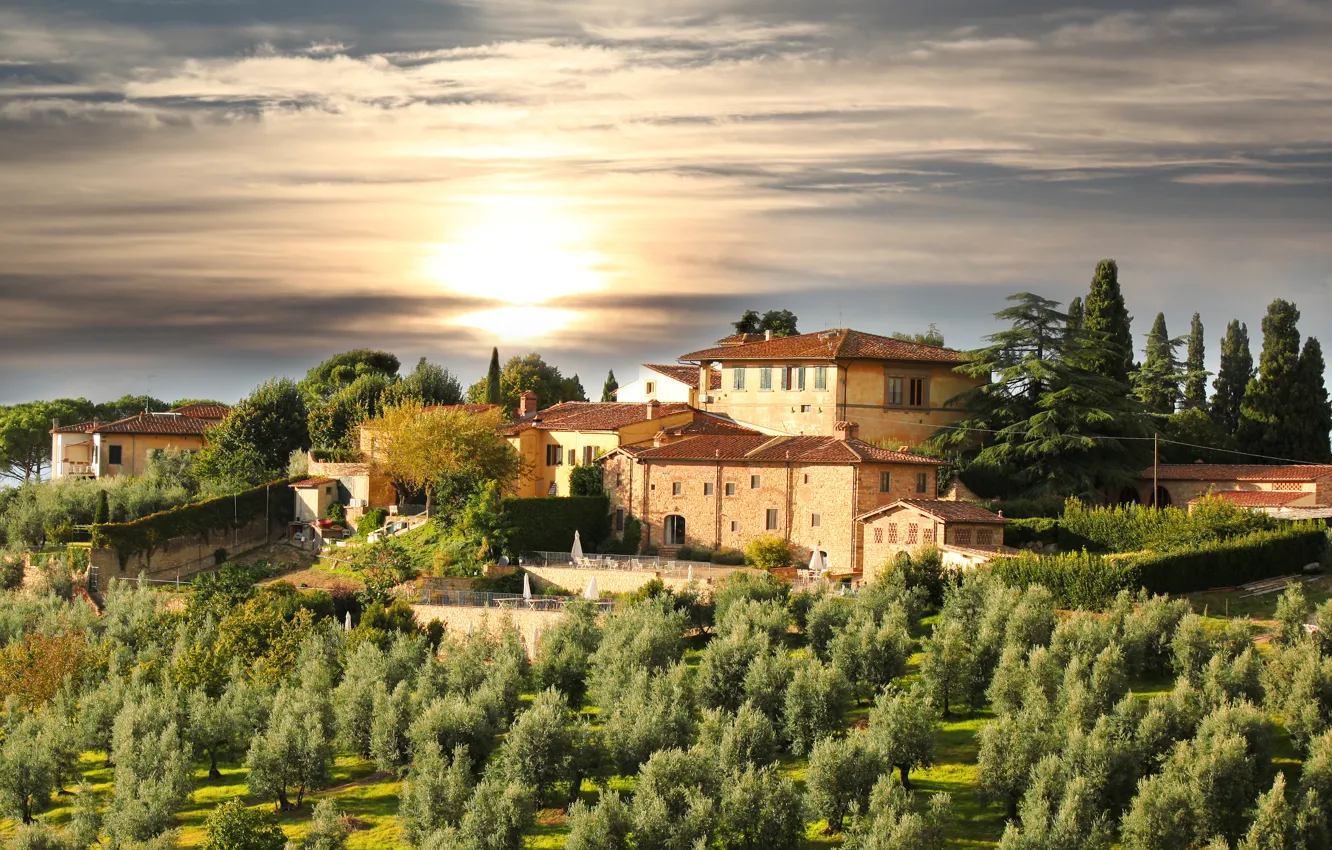 Фото обои небо, облака, деревья, пейзаж, закат, природа, Italy, Tuscany