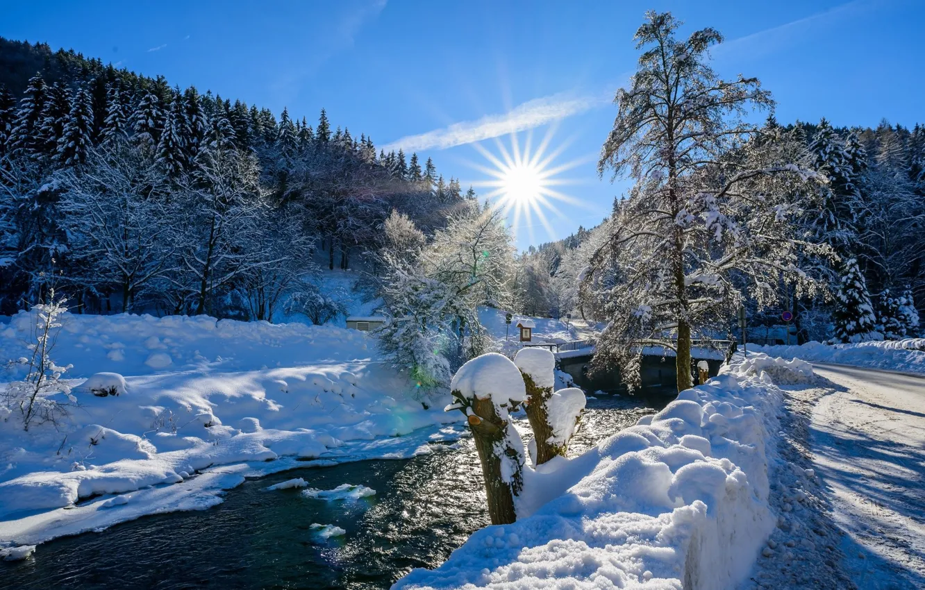 Фото обои зима, снег, река, ёлки