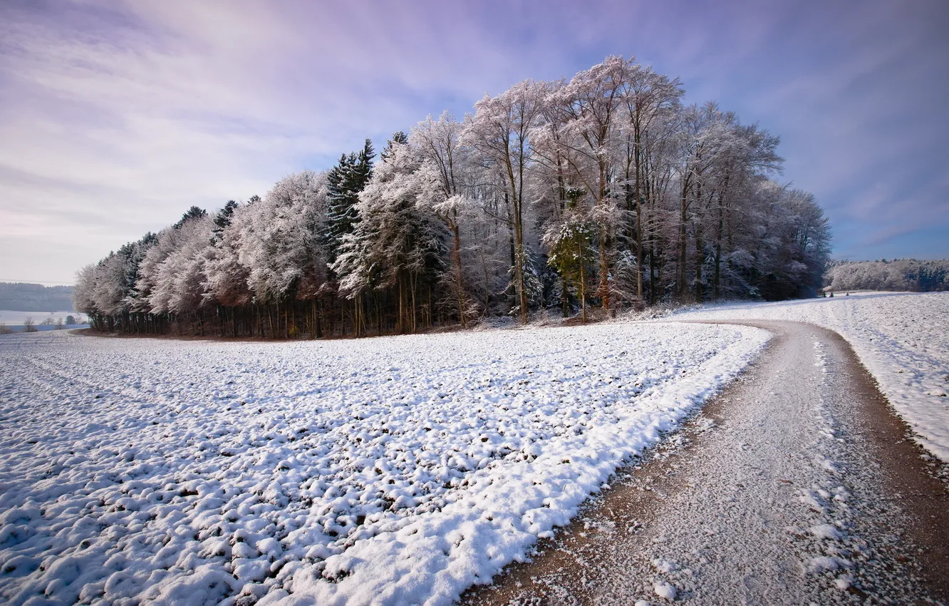 Фото обои зима, дорога, снег, деревья, пейзаж, красота