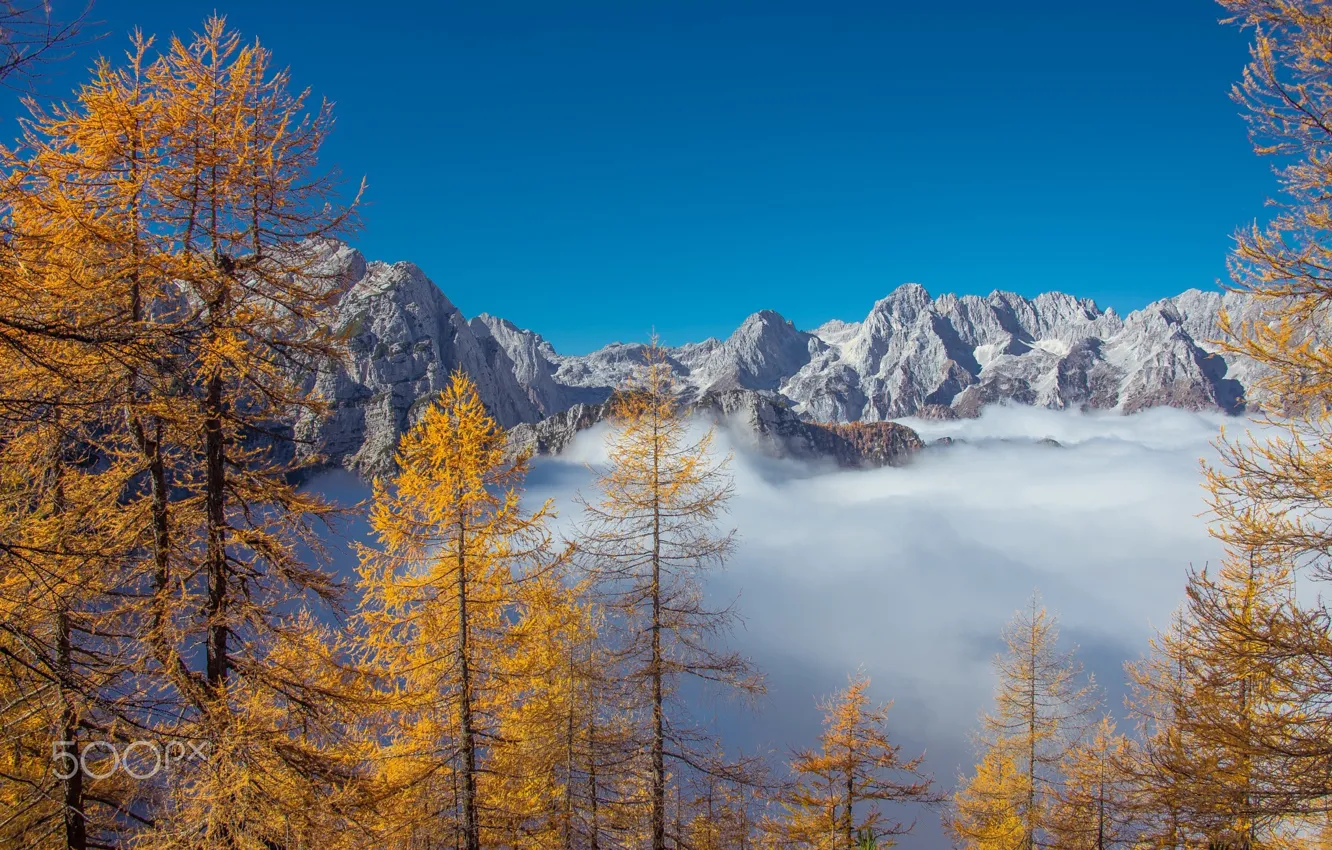 Фото обои осень, лес, небо, горы, туман