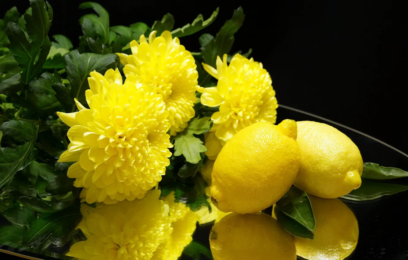 Фото обои цветы, лимон, цитрус, хризантемы