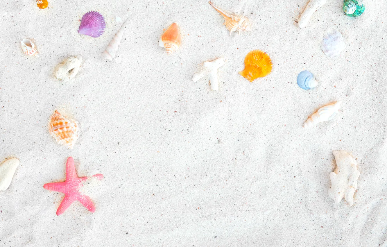Фото обои песок, пляж, фон, звезда, ракушки, summer, beach, sand