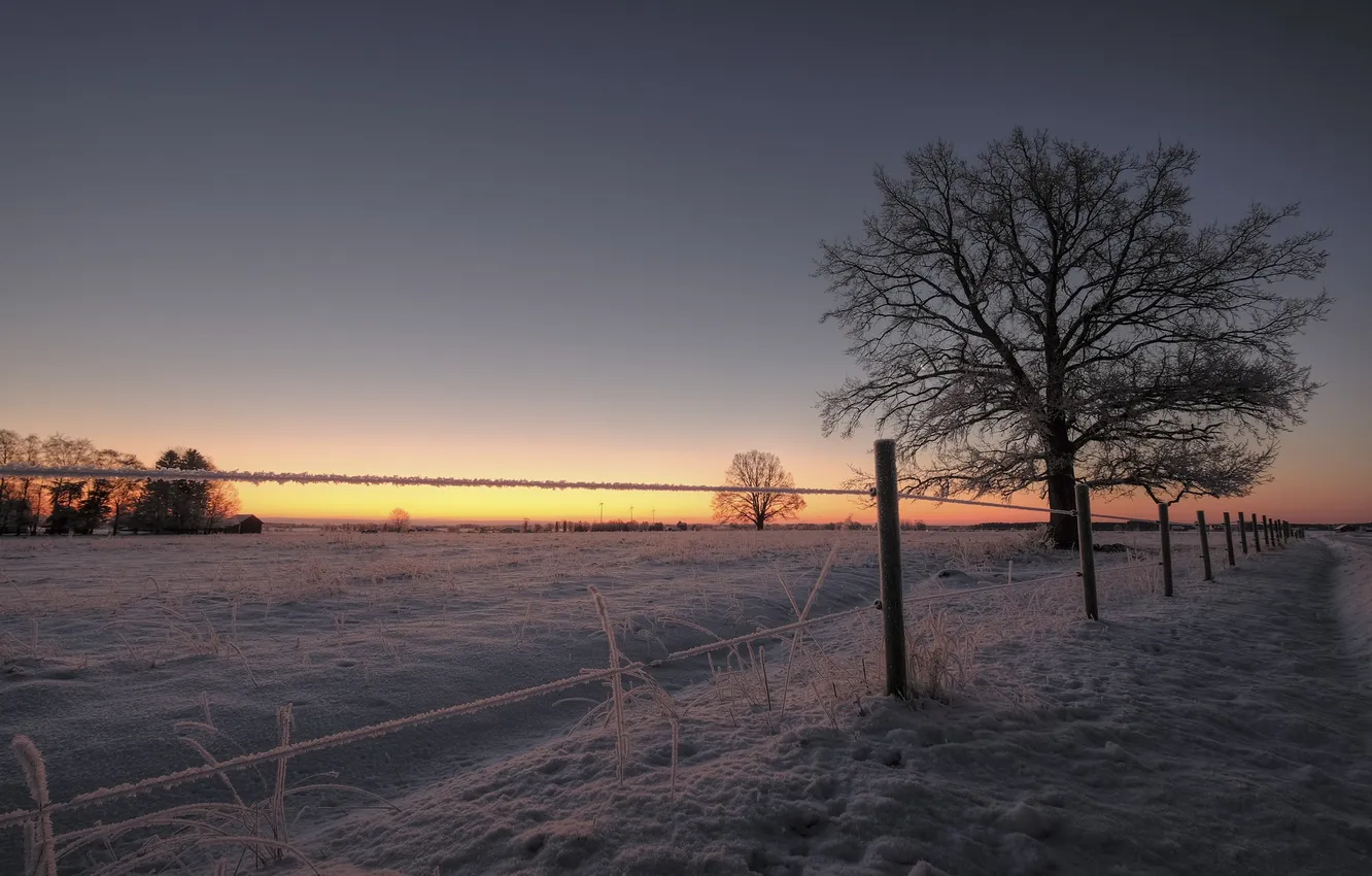 Фото обои зима, поле, закат, забор