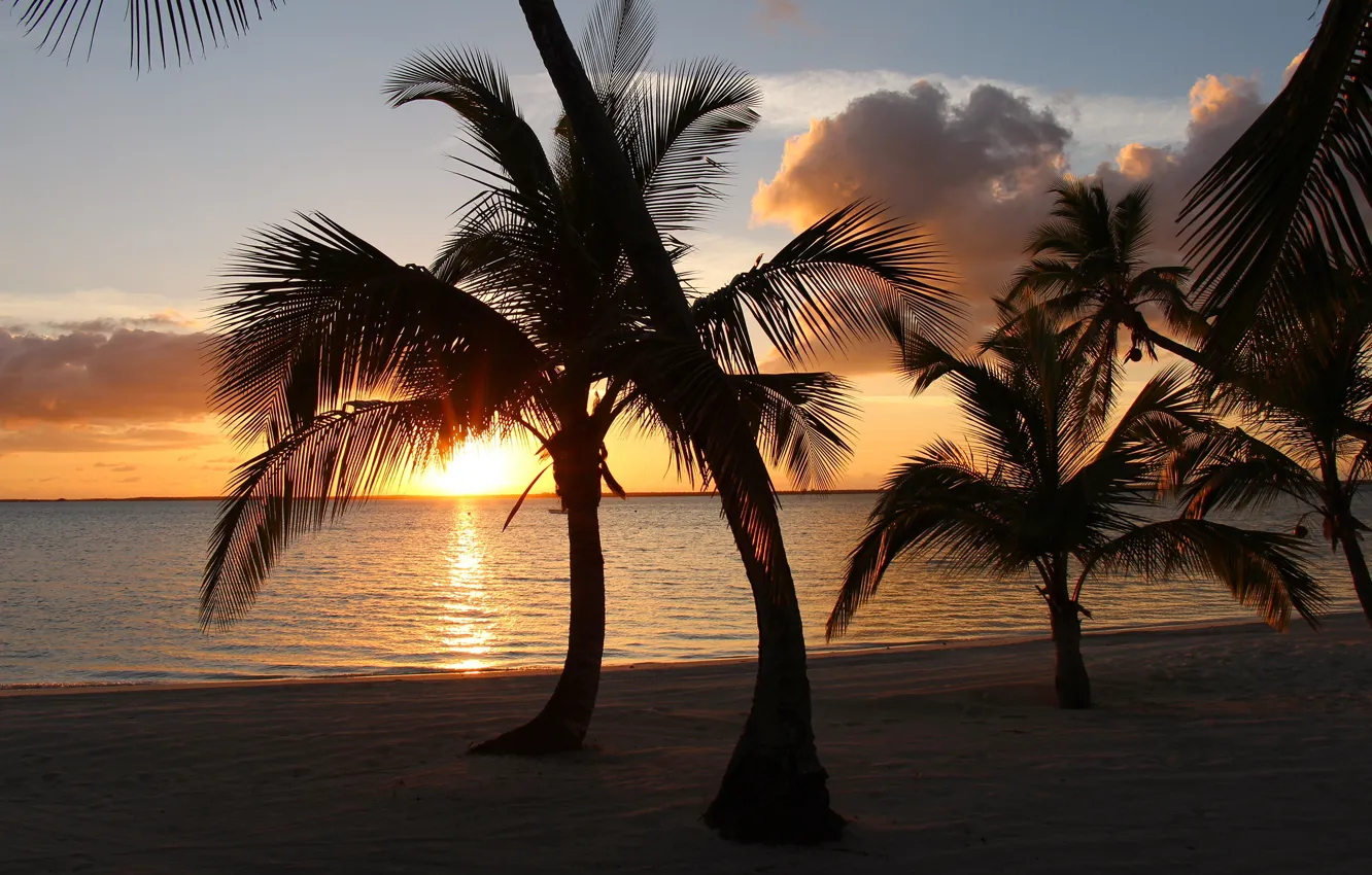 Фото обои песок, море, пляж, небо, солнце, облака, деревья, тропики
