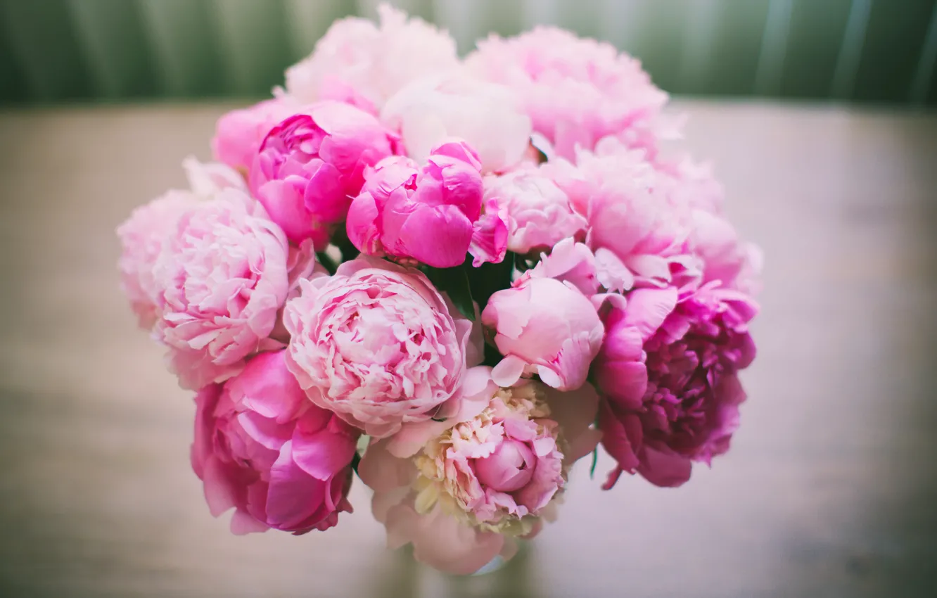 Фото обои цветы, букет, лепестки, розовые, Пионы