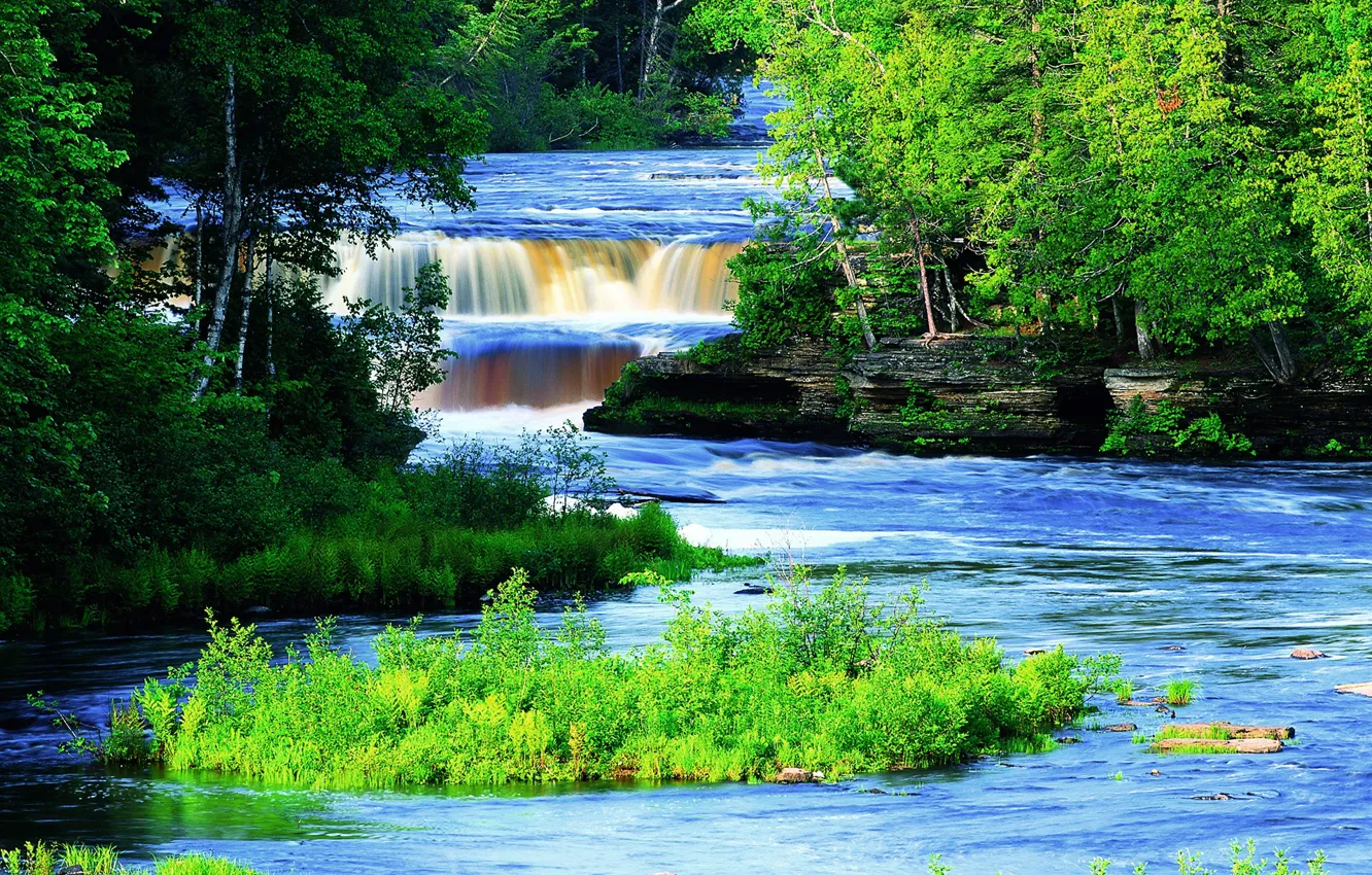 Фото обои зелень, лес, деревья, река, США, Tahquamenon River