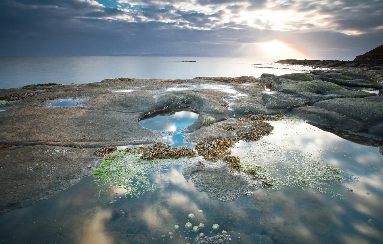 Фото обои море, водоросли, тучи, камни