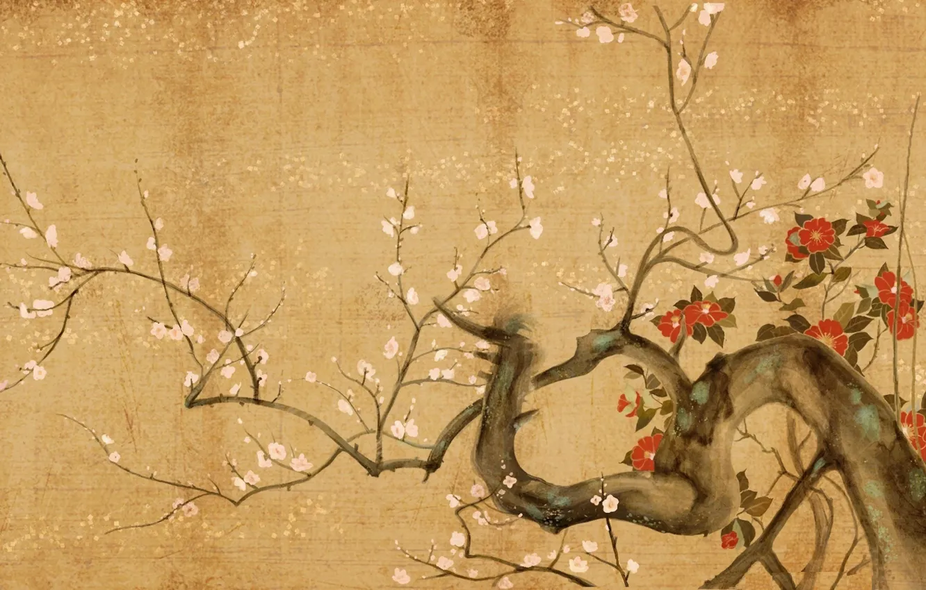 Фото обои цветы, дерево, сакура